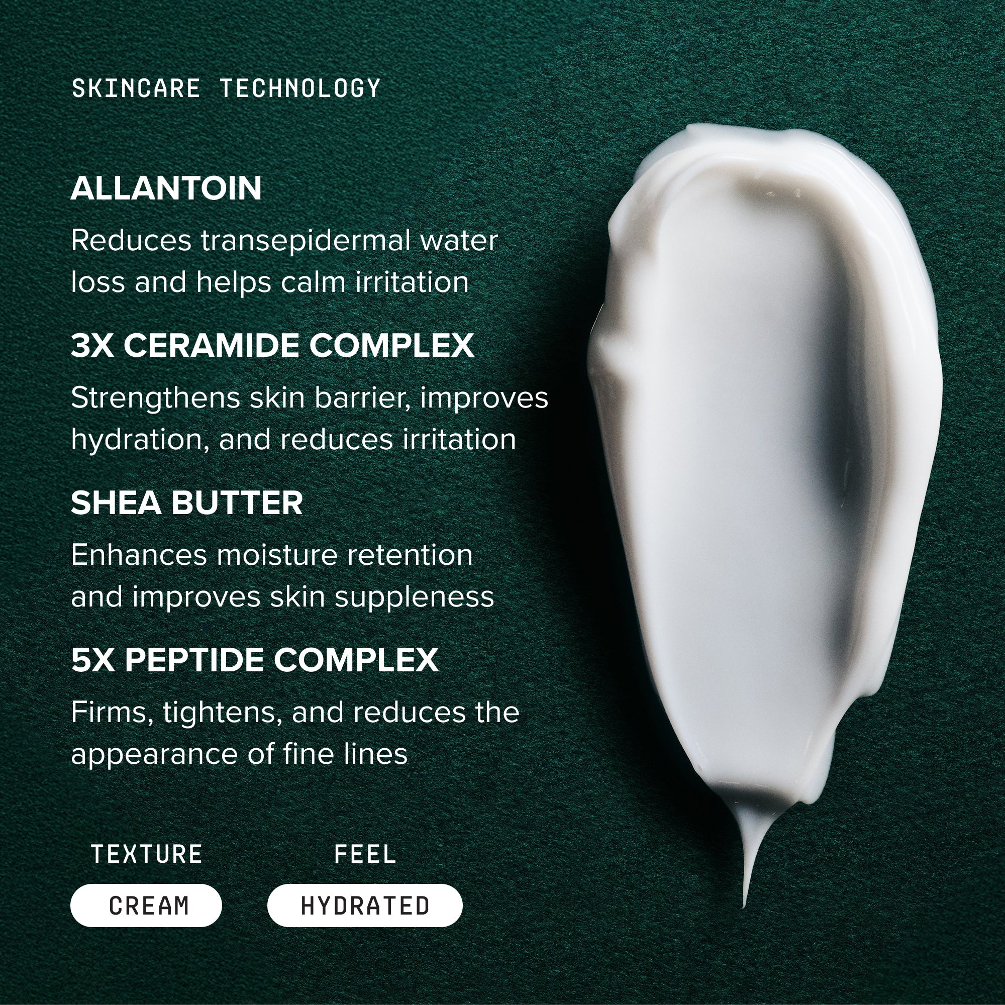 Peptide Night Cream
