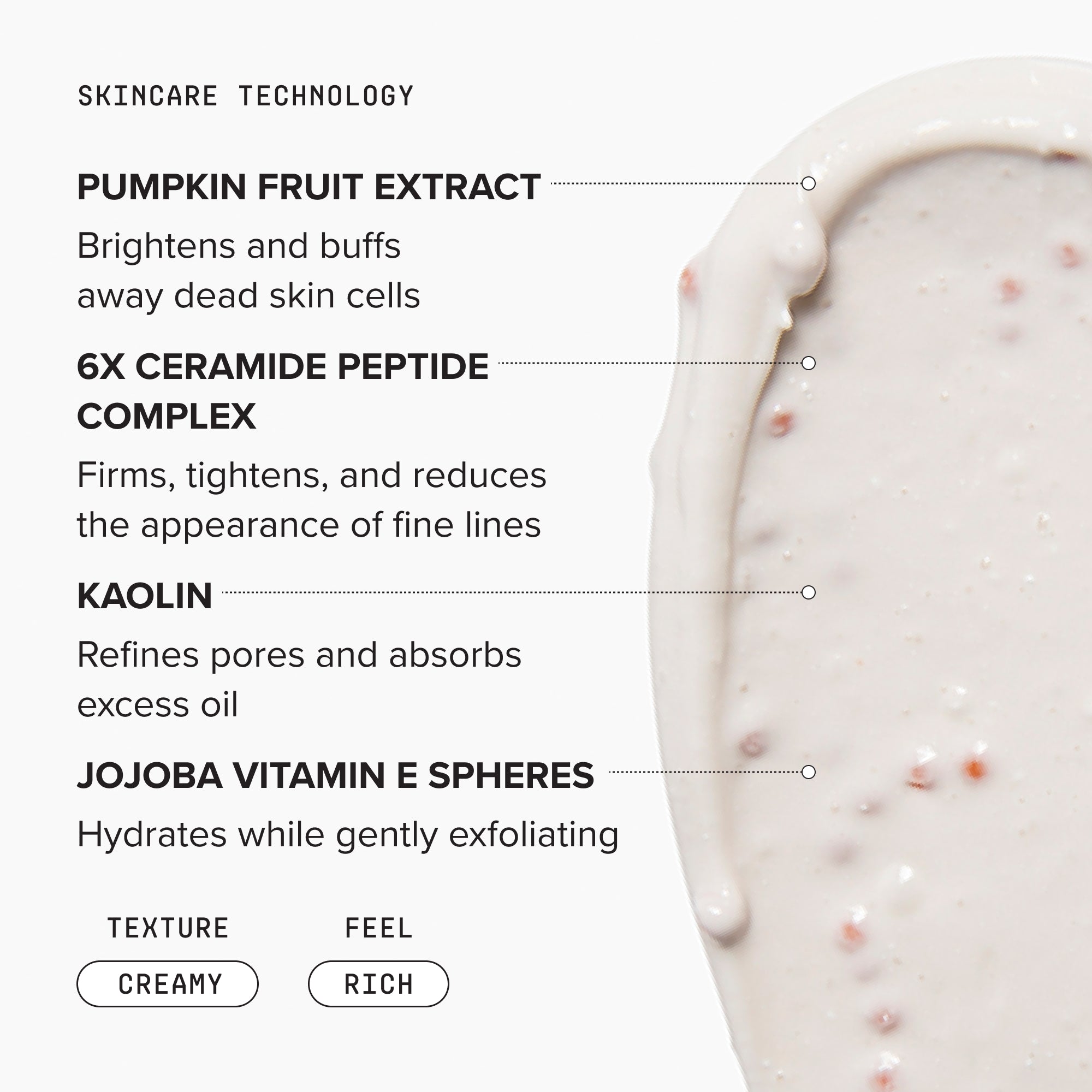 Pumpkin Enzyme Mask