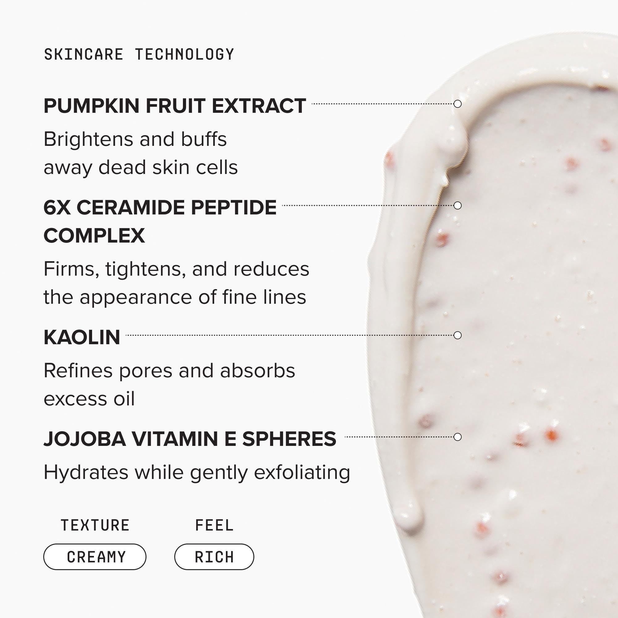 Mini Pumpkin Enzyme Mask